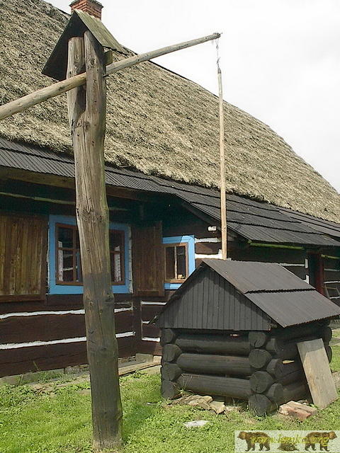2002 Zyndranowa 62