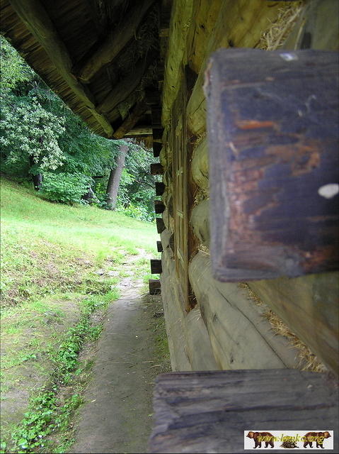 2005NS 007