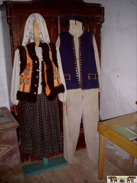2005 Zyndranowa 35