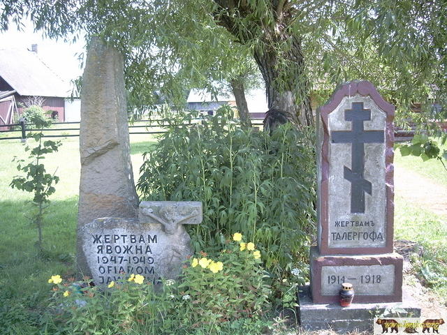 2005 Zyndranowa 42