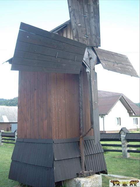 2005 Zyndranowa 45
