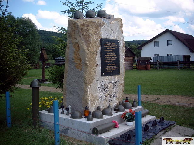 2005 Zyndranowa 47