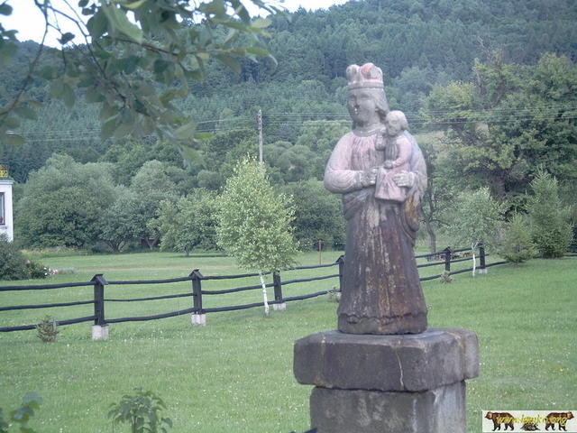 2005 Zyndranowa 62