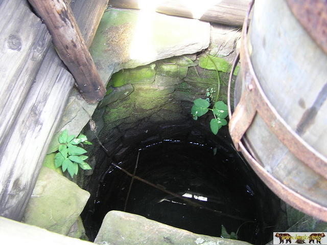 2005 Zyndranowa 69
