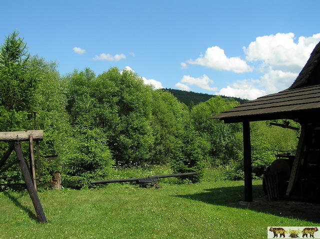 2005 Zyndranowa 81