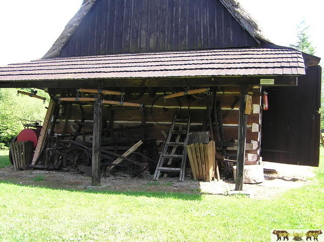 2005 Zyndranowa 82