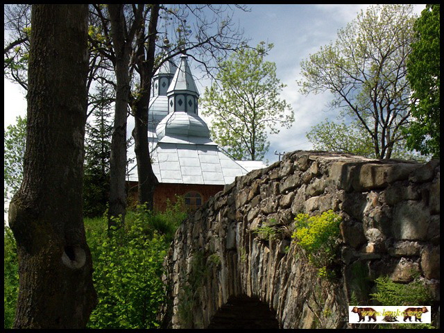 2006 Olchowiec 12
