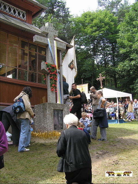 2007 31