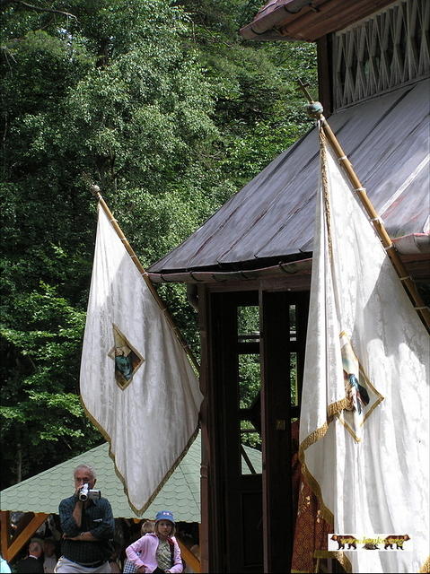 2007 44