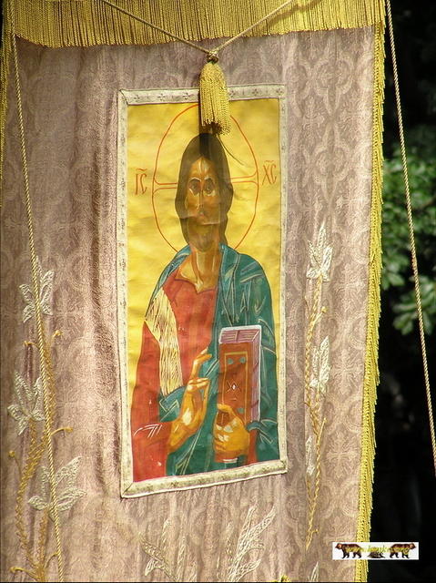 2007 48
