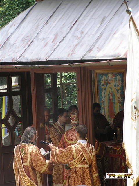 2007 50