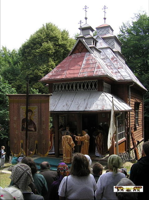 2007 51