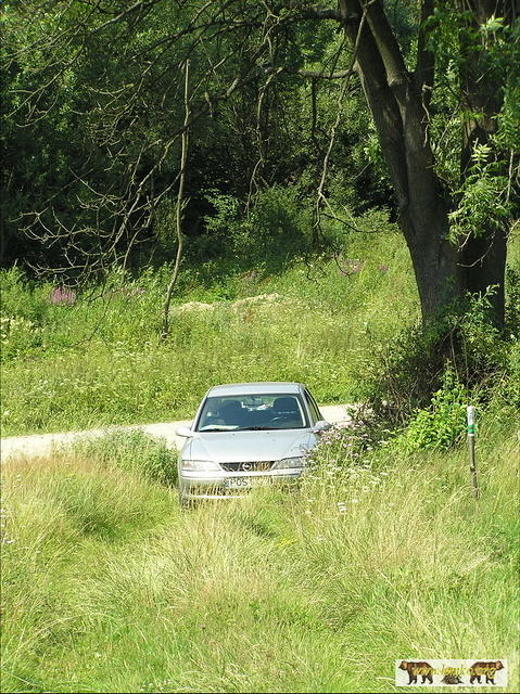 2007 Olchowiec 014