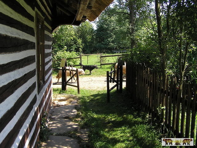 2007 Olchowiec 020