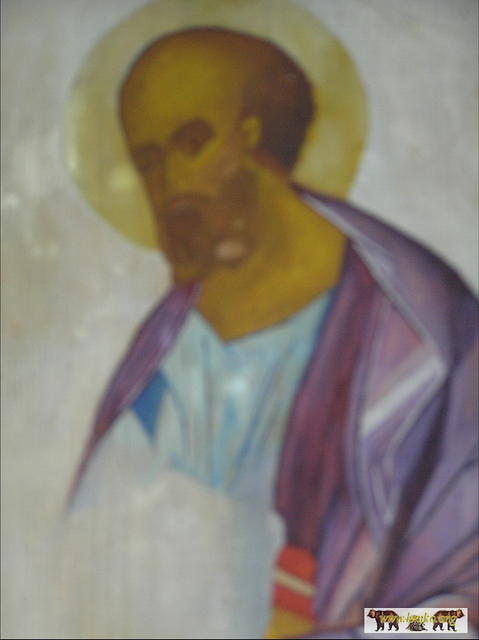 2007 Olchowiec 048
