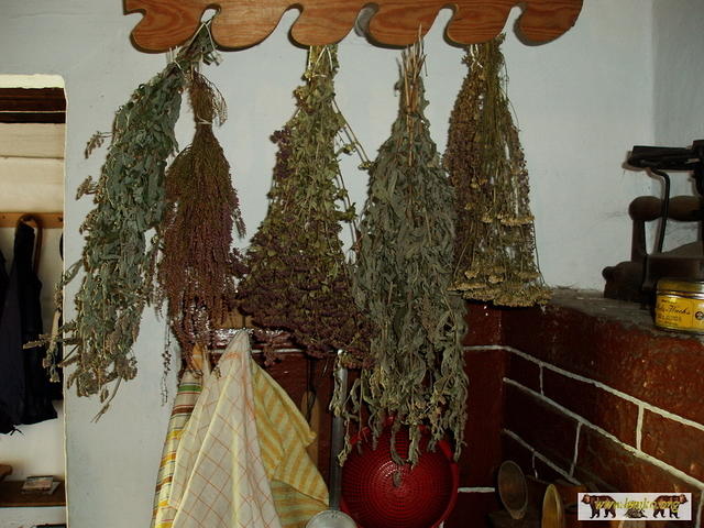 2007 Olchowiec 064