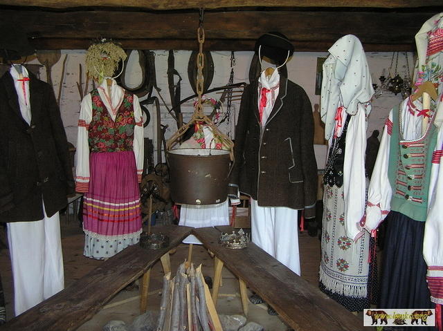 2007 Olchowiec 111