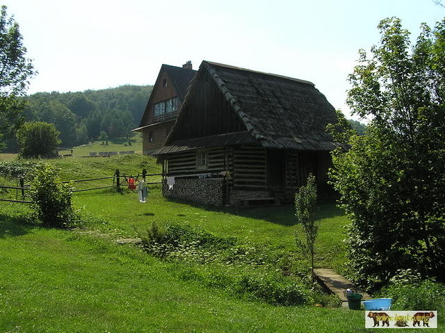 2007 Olchowiec 135