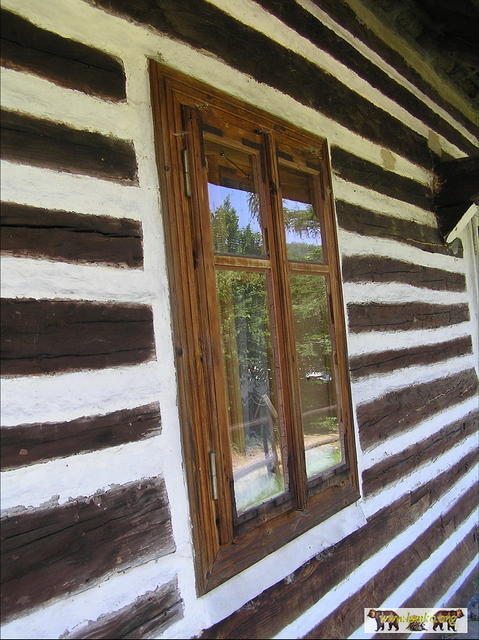 2007 Olchowiec 139