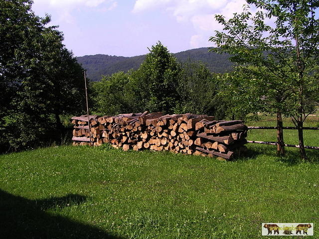 2007 Olchowiec 140