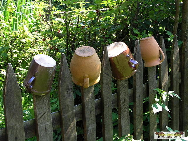 2007 Olchowiec 141