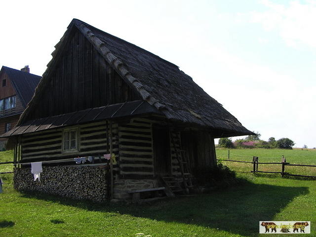2007 Olchowiec 145