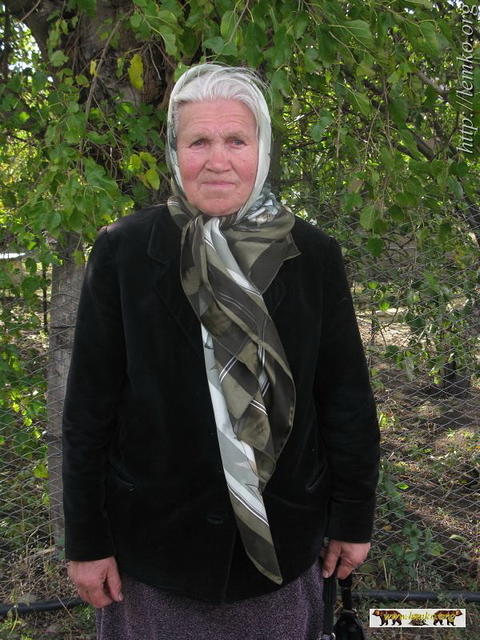 2008Luh100
