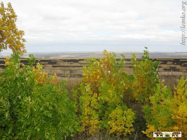 2008Luh196