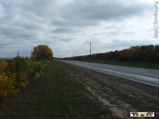 2008Luh346