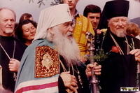 Zyndranowa85 11