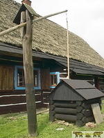 2002 Zyndranowa 62