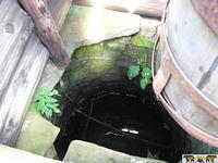 2005 Zyndranowa 69