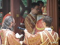 2007 49