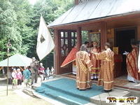 2007 55