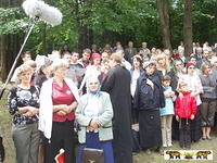 2007 56
