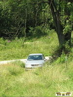 2007 Olchowiec 014