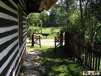 2007 Olchowiec 020