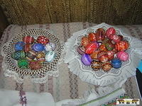 2007 Olchowiec 045