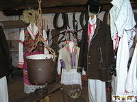 2007 Olchowiec 055