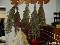 2007 Olchowiec 064