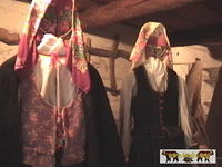 2007 Olchowiec 102