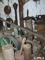 2007 Olchowiec 113