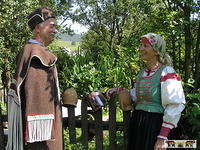 2007 Olchowiec 123