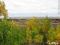 2008Luh196