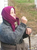 2008Luh208