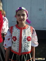 2008Luh318