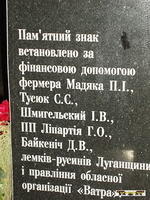 2008Luh331