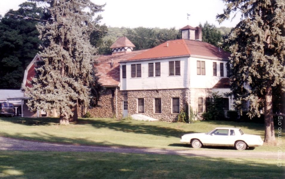 Photograph