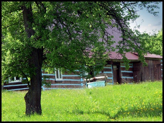 Photograph from Olchowiec 2006 archive