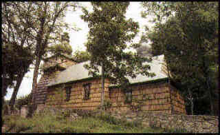 POLYANY